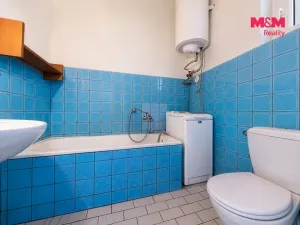 Prodej bytu 2+1, Všemyslice - Neznašov, 70 m2