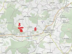 Prodej lesa, Puclice, 13840 m2