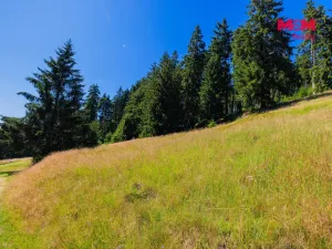 Prodej pozemku pro bydlení, Nové Hamry, 776 m2