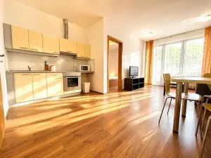Pronájem bytu 2+kk, Praha - Karlín, Křižíkova, 51 m2