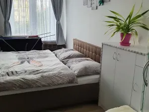Pronájem bytu 2+1, Praha - Vinohrady, Nad olšinami, 56 m2