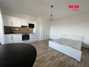 Pronájem bytu 1+kk, Tábor, U Areálu, 25 m2