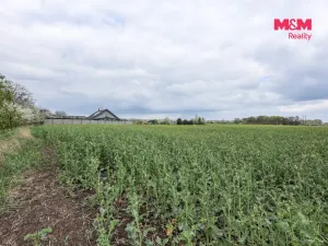 Prodej pozemku pro bydlení, Mostkovice, 3252 m2