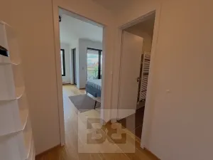 Pronájem bytu 1+kk, Praha - Strašnice, Na palouku, 32 m2