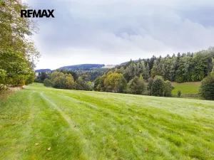 Prodej louky, Orličky, 61702 m2