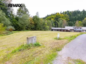 Prodej louky, Orličky, 61702 m2