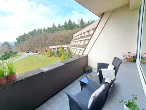 Prodej bytu 2+kk, Všemina, 46 m2