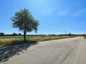 Prodej louky, Vodňany, Stožická, 3872 m2