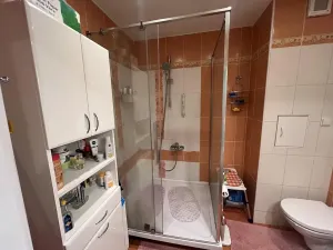 Prodej bytu 2+kk, Frýdek-Místek, 50 m2