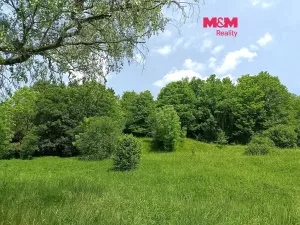 Prodej pozemku pro bydlení, Božanov, 2148 m2