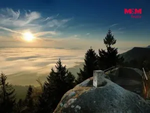 Prodej pozemku pro bydlení, Božanov, 2148 m2