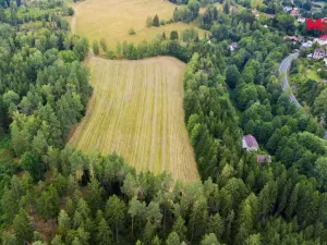 Prodej louky, Loužnice, 26426 m2
