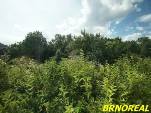 Pronájem bytu 1+1, Brno, Sibiřská, 31 m2