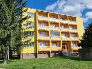Pronájem bytu 1+1, Břeclav, U Jánského dvora, 46 m2