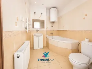 Pronájem rodinného domu, Bílina, Teplická, 400 m2