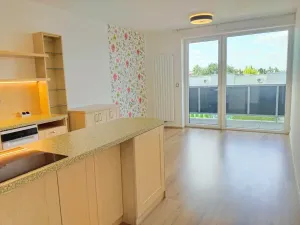Pronájem bytu 2+kk, Plzeň, K Lutové, 51 m2