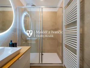 Pronájem bytu 3+kk, Brno - Královo Pole, Červinkova, 52 m2