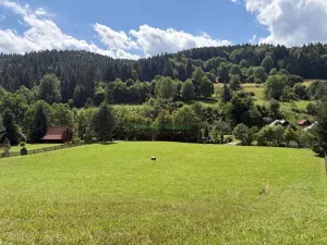 Prodej pozemku pro bydlení, Nový Hrozenkov, 8167 m2