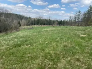 Prodej pozemku pro bydlení, Sázava, 7630 m2
