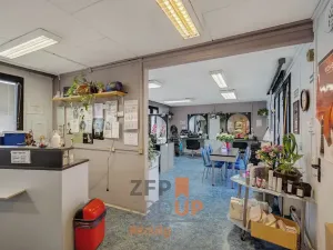 Prodej obchodního prostoru, Brno, Tuřanská, 104 m2