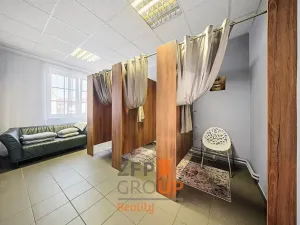Prodej rodinného domu, Brno, Břeclavská, 417 m2