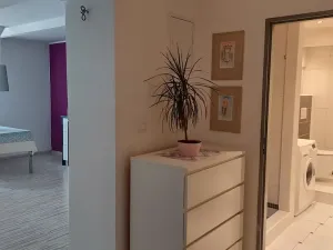 Pronájem bytu 2+kk, Brno, Jugoslávská, 55 m2