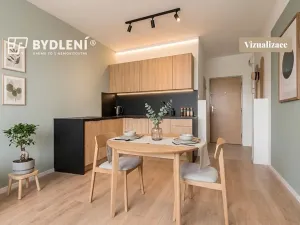 Prodej bytu 1+1, Louny, Březinova, 36 m2