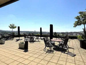 Pronájem bytu 2+kk, Brno, Palackého třída, 56 m2