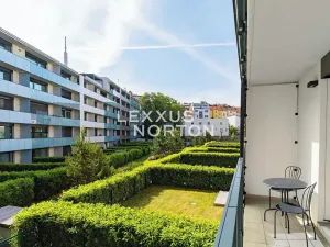 Pronájem bytu 1+kk, Praha - Žižkov, U Viktorie, 40 m2