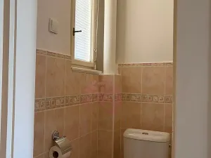 Pronájem bytu 1+1, Praha - Žižkov, Jana Želivského, 51 m2