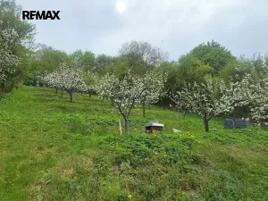 Prodej chalupy, Březová nad Svitavou, Zářečí, 100 m2