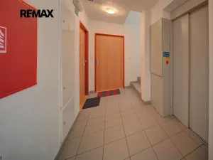 Pronájem bytu 1+1, Poděbrady, Čechova, 34 m2