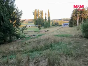 Prodej zahrady, Bělá nad Radbuzou, 6001 m2