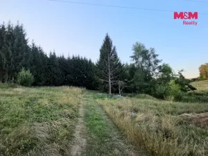 Prodej zahrady, Bělá nad Radbuzou, 6001 m2