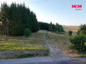 Prodej zahrady, Bělá nad Radbuzou, 6001 m2