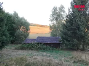 Prodej zahrady, Bělá nad Radbuzou, 6001 m2