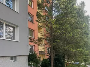 Prodej bytu 1+1, Frýdek-Místek, Bruzovská, 36 m2