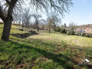 Prodej pozemku pro bydlení, Kopidlno, Na Vinici, 4928 m2