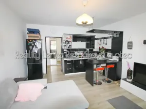 Pronájem bytu 1+kk, Mikulov, Dukelská, 27 m2
