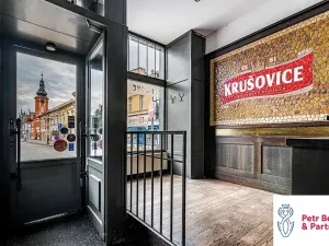 Prodej obchodního prostoru, Rakovník, Husovo náměstí, 1100 m2