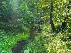 Prodej chaty, Petrov, Zátrnová, 37 m2