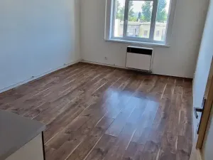 Pronájem bytu 2+kk, Praha - Žižkov, Hartigova, 56 m2
