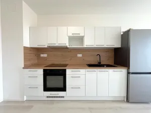 Pronájem bytu 1+kk, Brno, Dornych, 30 m2