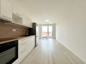 Pronájem bytu 1+kk, Brno, Dornych, 30 m2