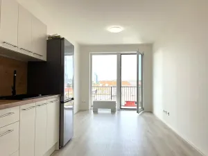 Pronájem bytu 1+kk, Brno, Dornych, 30 m2