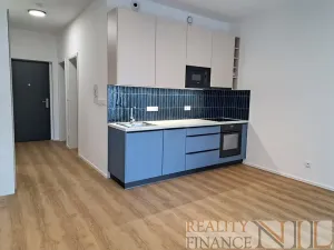 Pronájem bytu 1+kk, Plzeň, Těšínská, 36 m2