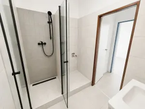 Prodej bytu 1+kk, Brno, Cejl, 60 m2