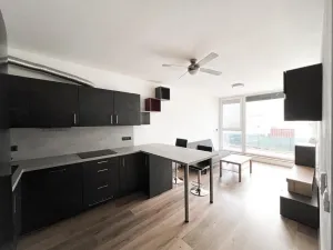 Pronájem bytu 2+kk, Plzeň - Skvrňany, Kreuzmannova, 53 m2