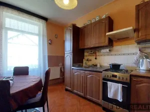 Prodej rodinného domu, Litoměřice - Předměstí, Havlíčkova, 266 m2