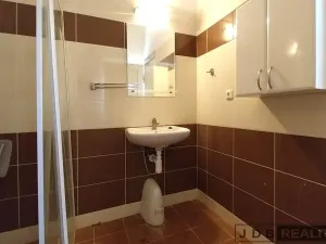 Prodej rodinného domu, Litoměřice - Předměstí, Havlíčkova, 266 m2